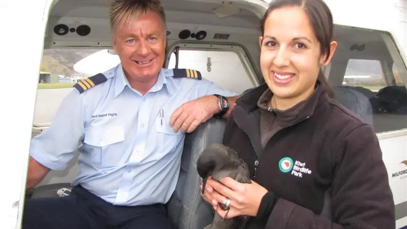 Wayward seabird set back on epic trail