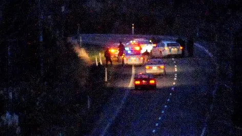 Armed police intercept Dunedin driver
