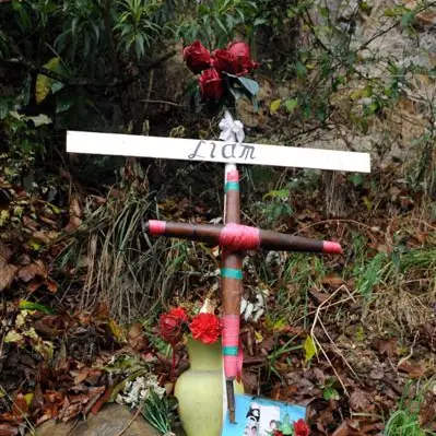 Dunedin teen smoked cannabis before fatal crash