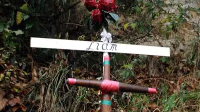 Dunedin teen smoked cannabis before fatal crash