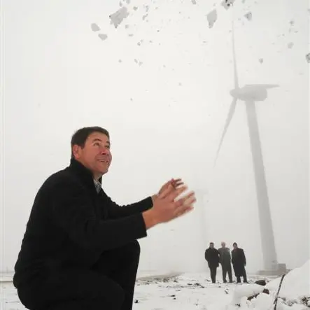 Otago wind power 'like eating your own veges'