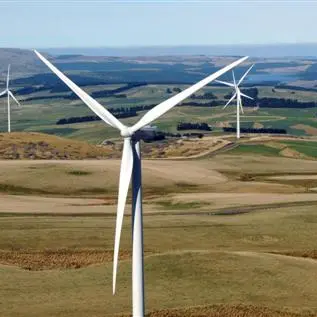 Turbines slow to grow on neighbours
