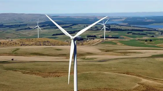 Turbines slow to grow on neighbours
