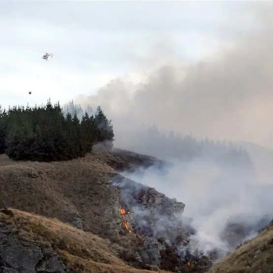 1500ha scrub, forest burnt