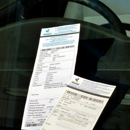 Dunedin parking tickets to double in size