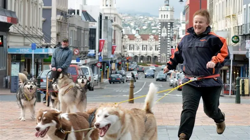Dogs draw attention to plight