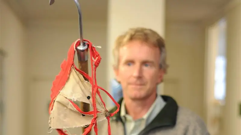 'G-string' found on seal now raising money