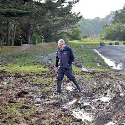 Anger over damage at Brighton Domain