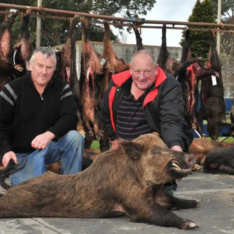 Hunt goes whole hog, netting 29