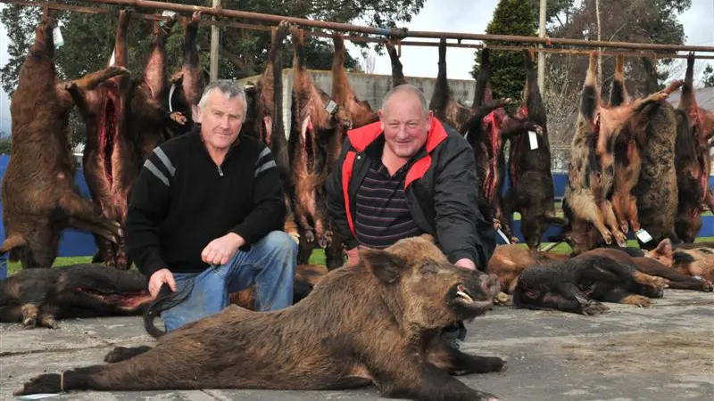 Hunt goes whole hog, netting 29