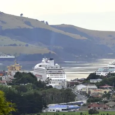 Port Otago tops NZ handling rate