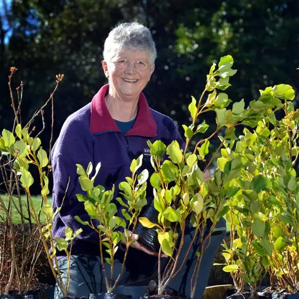 'Huge rewards' from conservation