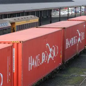 Container rail link to Timaru opens
