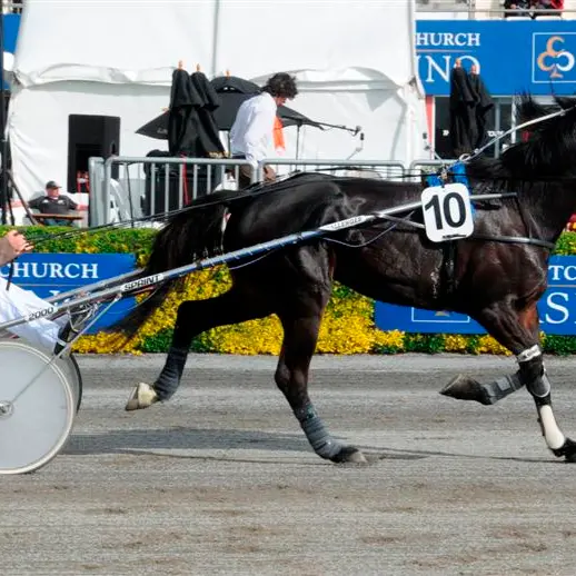 Racing: Hoping for third time luckyin the Kaikoura Cup today