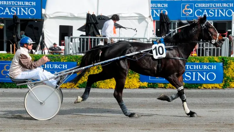 Racing: Hoping for third time luckyin the Kaikoura Cup today