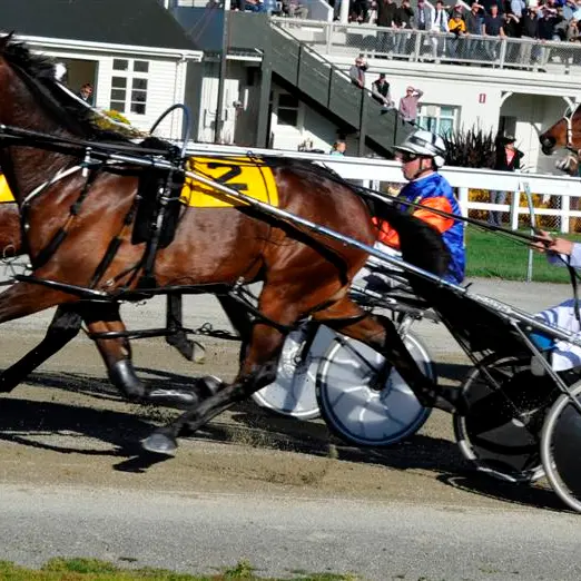 Racing: Late bid by Pure Power