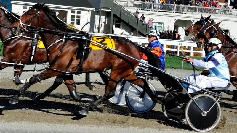 Racing: Late bid by Pure Power