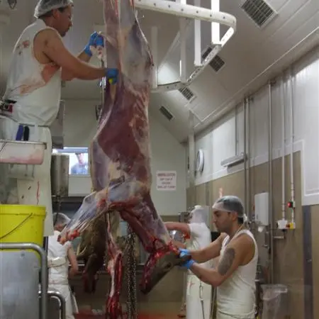 Venison addition a 'major milestone'