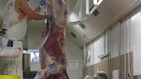 Venison addition a 'major milestone'