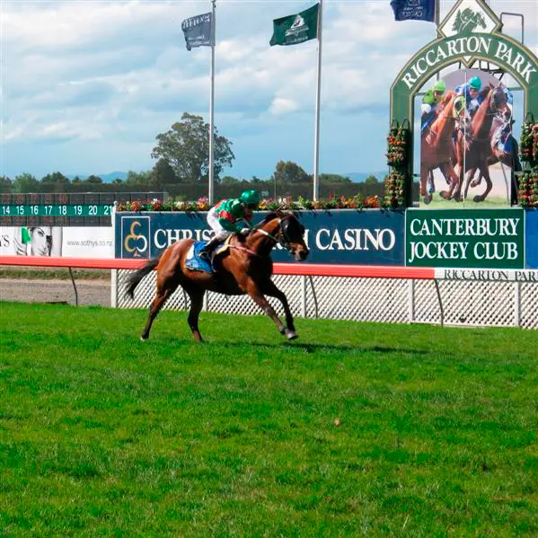 Racing: Unique double in NZ Cup