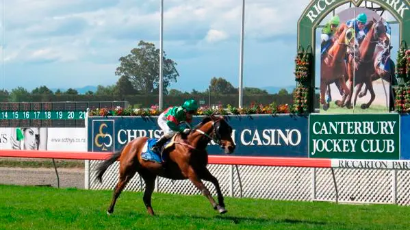Racing: Unique double in NZ Cup