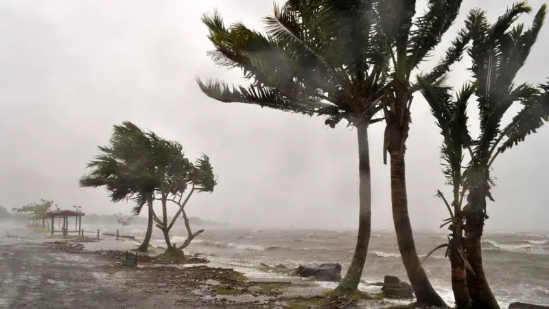 Cyclone Evan: Fiji declares state of disaster