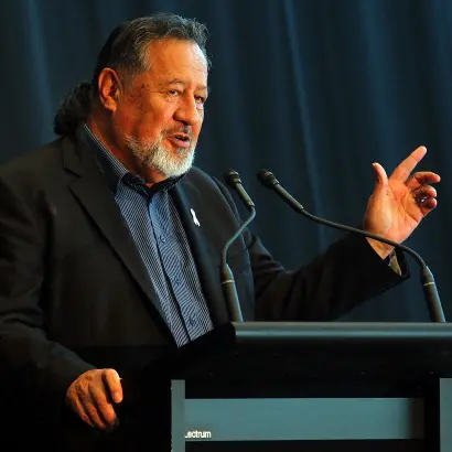 Leadership challenge in Maori Party