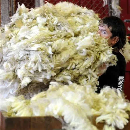 Wool shake-up needed: report