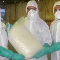 Kiwi arrested in record drug bust