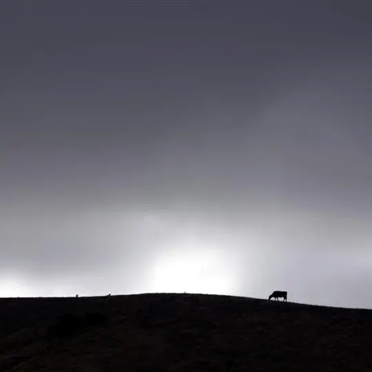 Dairy prices soar on drought
