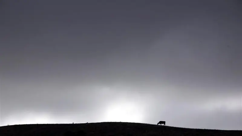 Dairy prices soar on drought