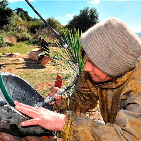 Sculptors draw inspiration from nature