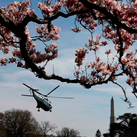Obama makes 'last-ditch' push on gun control