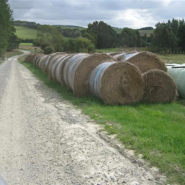 Bylaw to regulate roadside activities