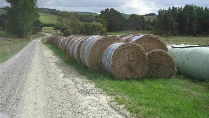 Bylaw to regulate roadside activities
