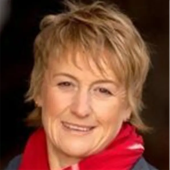 Mayor resigns as director of CCO