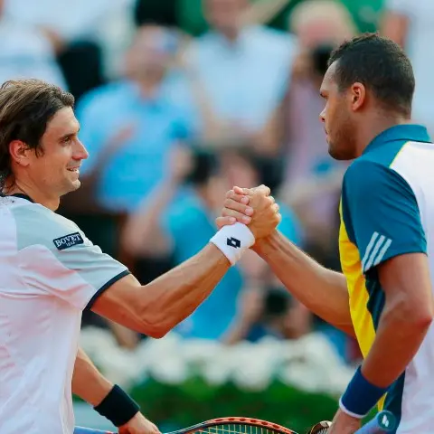 Tennis: Ferrer overwhelms Tsonga in Paris anti-climax