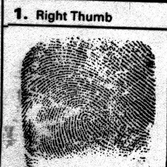 Robin Bain marks were cuts: police