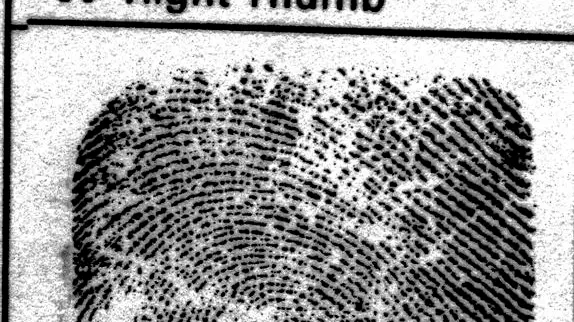 Robin Bain marks were cuts: police
