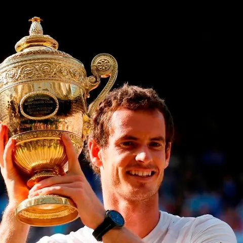 Tennis: Murray ends Britain's Wimbledon wait