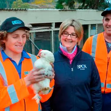 Delta gives $5000 to SPCA for a new aviary