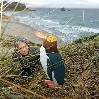Dummy penguins dupe peers