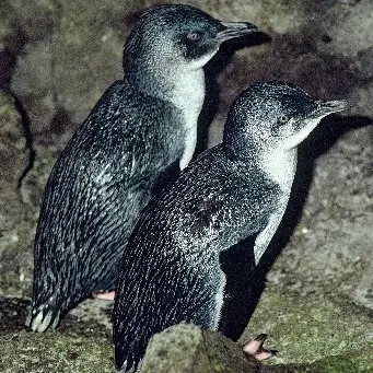 Call for input on marine areas