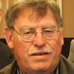 'Election at large' principle underpins Lane's out-of-ward candidacy