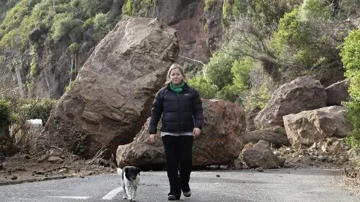 Spooking the pooches