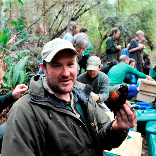 50 saddlebacks delivered to sanctuary