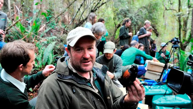 50 saddlebacks delivered to sanctuary