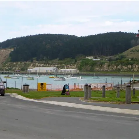 Wind-damage danger spurs plan to fell forest