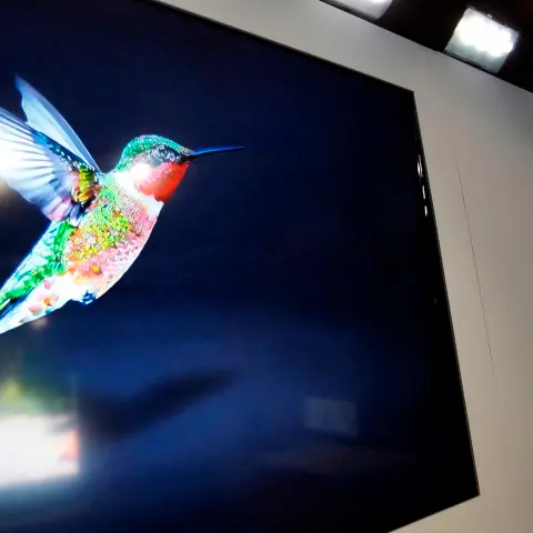 Google introduces 'Hummingbird' search algorithm
