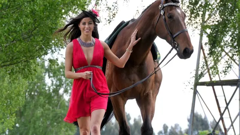 Record ticket sales for Melbourne Cup Day